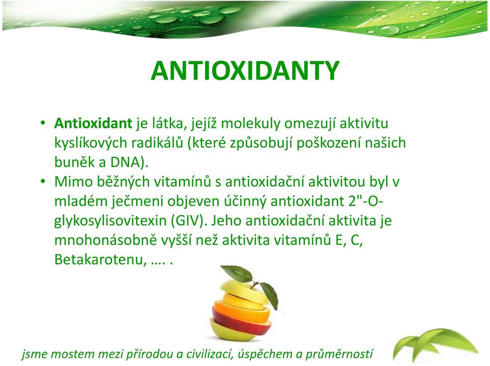 Mimo běžných vitamínů s antioxidační aktivitou byl v mladém ječmeni objeven účinný