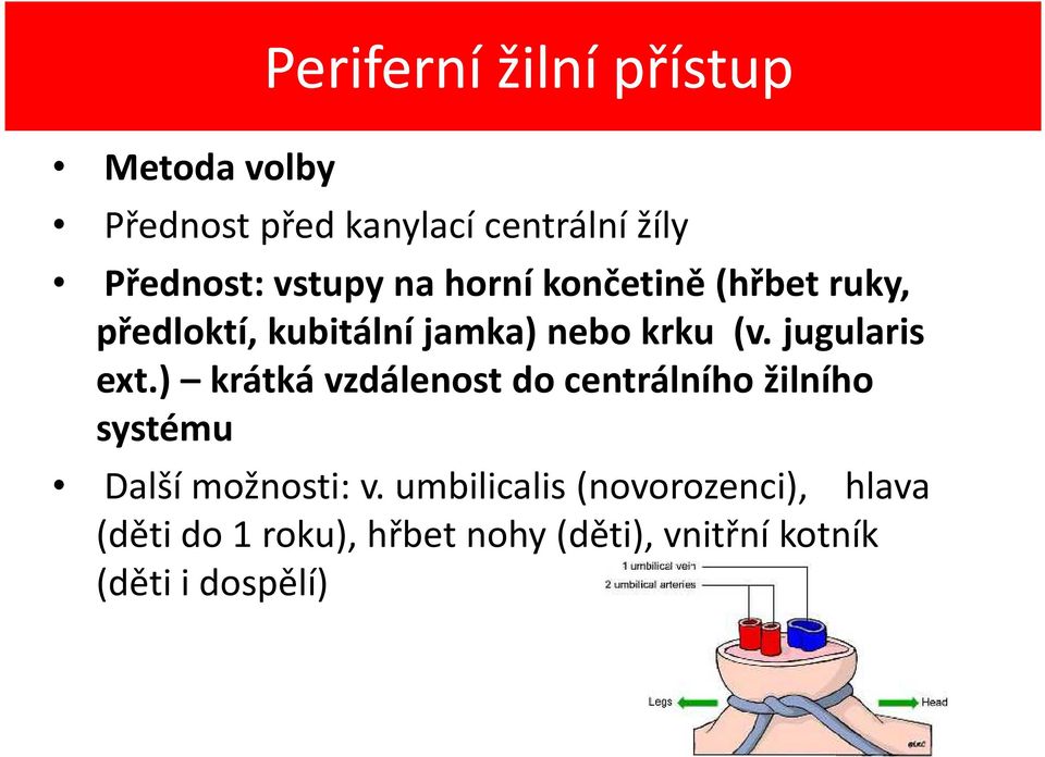 jugularis ext.) krátká vzdálenost do centrálního žilního systému Další možnosti: v.