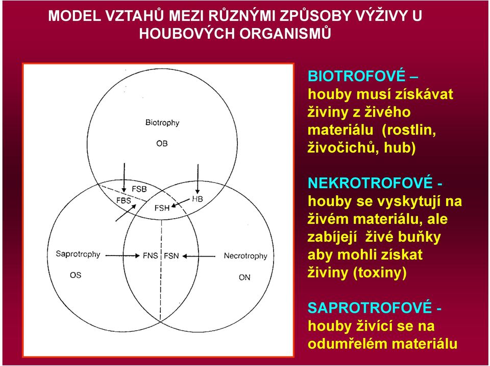 NEKROTROFOVÉ - houby se vyskytují na živém materiálu, ale zabíjejí živé buňky