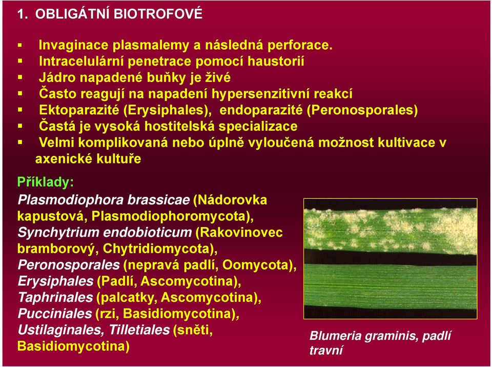 vysoká hostitelská specializace Velmi komplikovaná nebo úplně vyloučená možnost kultivace v axenické kultuře Příklady: Plasmodiophora brassicae (Nádorovka kapustová,