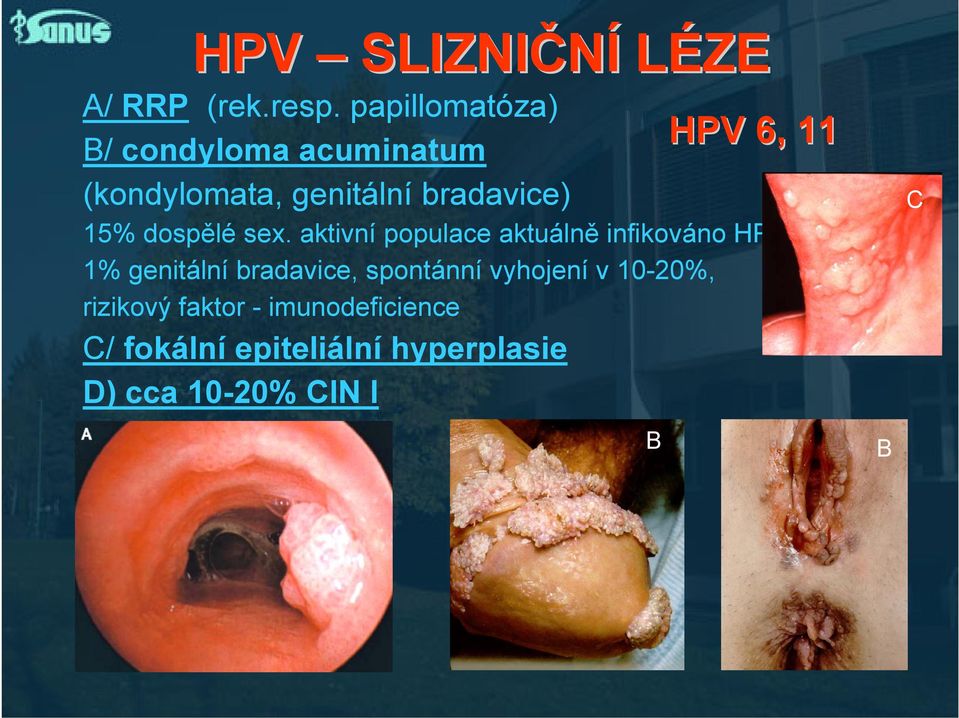 bradavice) 15% dospělé sex.