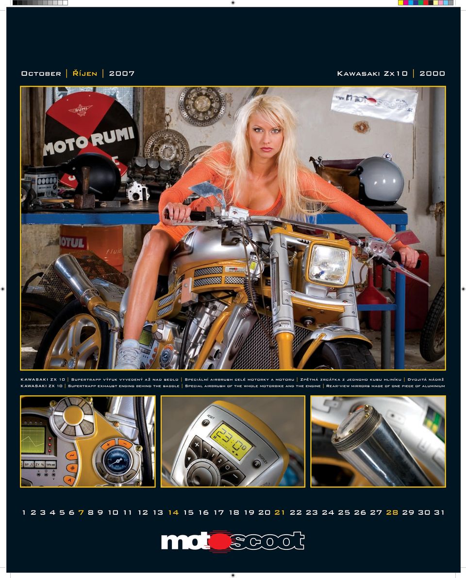 Supertrapp exhaust ending behind the saddle Special airbrush of the whole motorbike and the engine