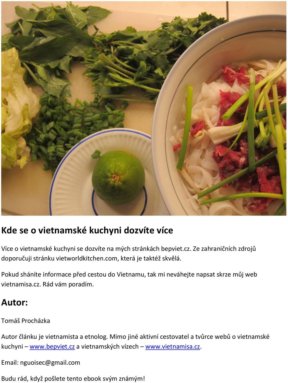 Pokud sháníte informace před cestou do Vietnamu, tak mi neváhejte napsat skrze můj web vietnamisa.cz. Rád vám poradím.