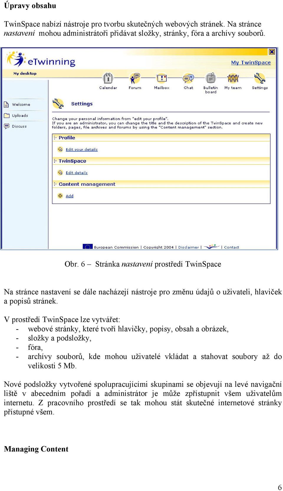 V prostředí TwinSpace lze vytvářet: - webové stránky, které tvoří hlavičky, popisy, obsah a obrázek, - složky a podsložky, - fóra, - archívy souborů, kde mohou uživatelé vkládat a stahovat soubory až