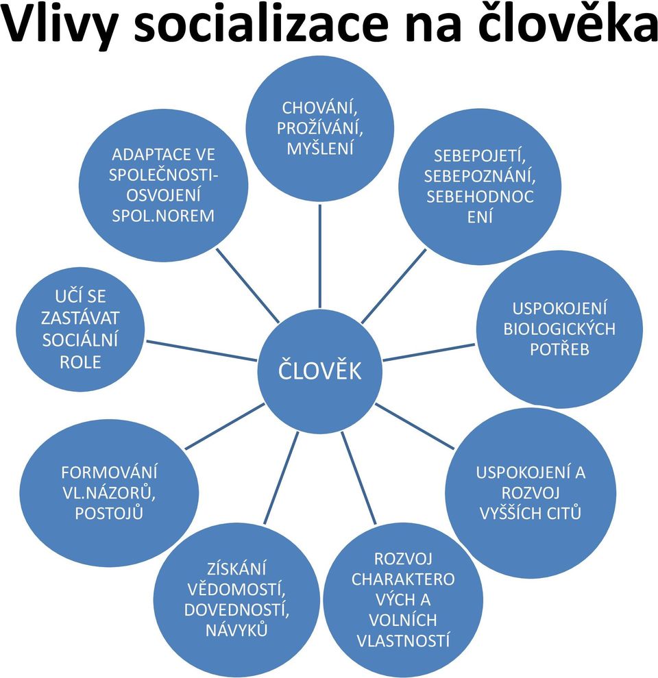 ZASTÁVAT SOCIÁLNÍ ROLE ČLOVĚK USPOKOJENÍ BIOLOGICKÝCH POTŘEB FORMOVÁNÍ VL.