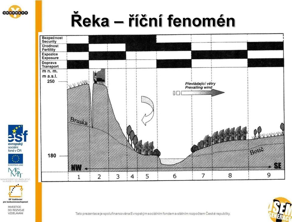 fenomén