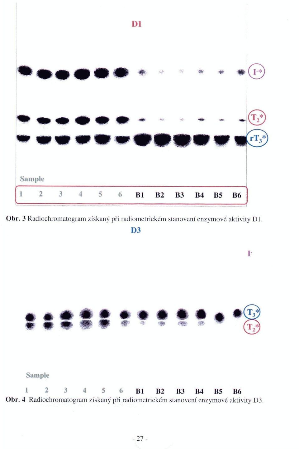 3 Radiochromatogram získaný při radiometrickém stanovení enzymové aktivity