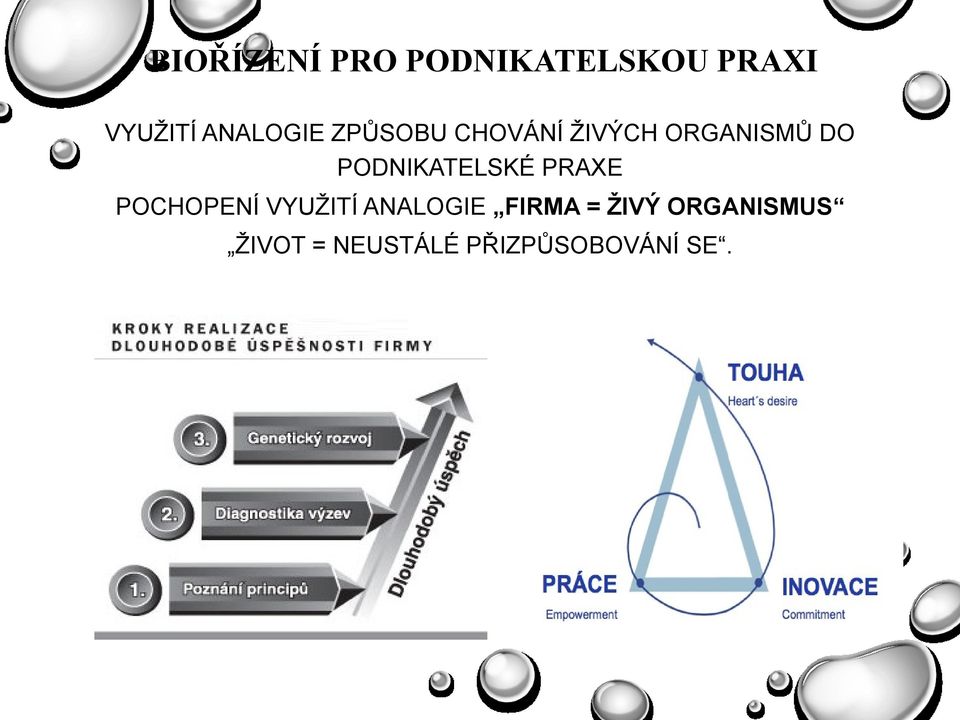 PODNIKATELSKÉ PRAXE POCHOPENÍ VYUŢITÍ ANALOGIE