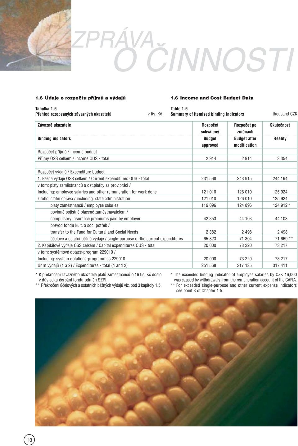 příjmů / Income budget Příjmy OSS celkem / Income OUS - total 2 914 2 914 3 354 Rozpočet výdajů / Expenditure budget 1.