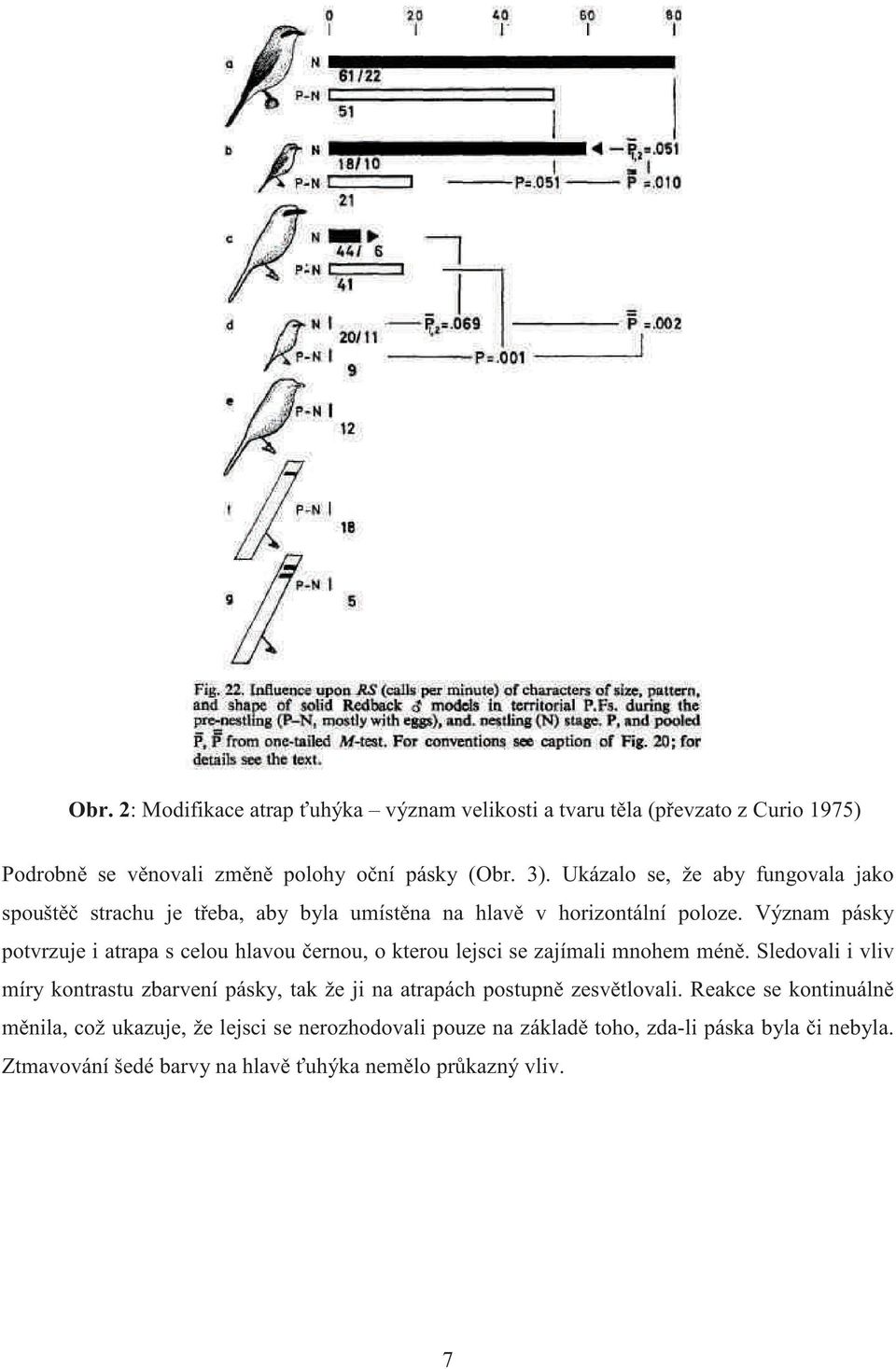 Význam pásky potvrzuje i atrapa s celou hlavou ernou, o kterou lejsci se zajímali mnohem mén.