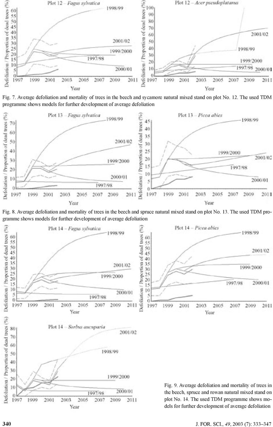 Average defoliation and mortality of trees in the beech and spruce natural mixed stand on plot No. 13.