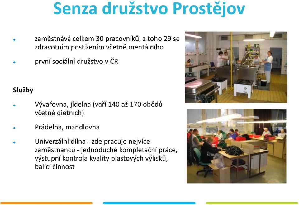 obědů včetně dietních) Prádelna, mandlovna Univerzální dílna - zde pracuje nejvíce