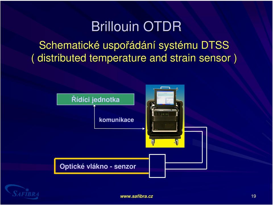 temperature and strain sensor )