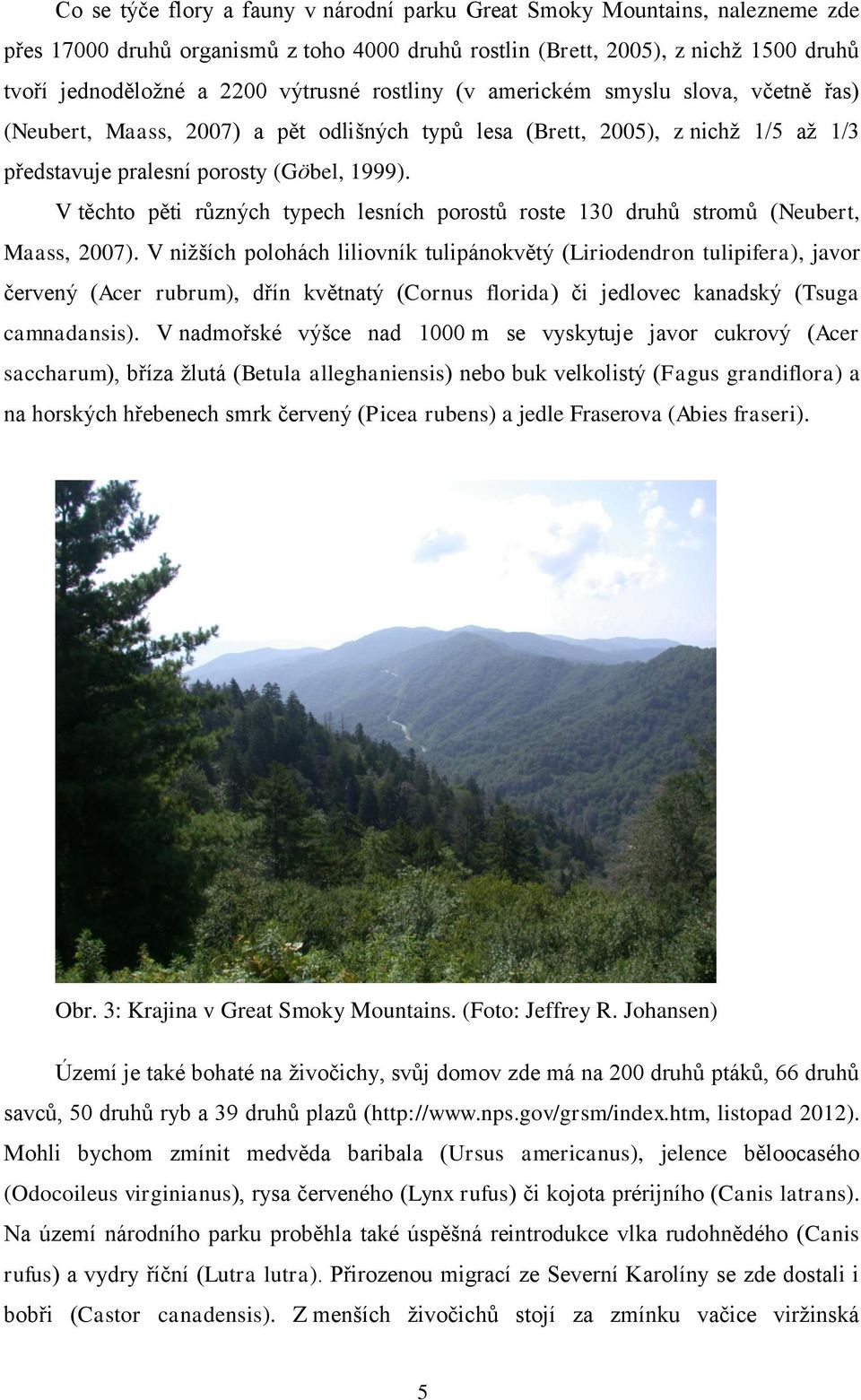 V těchto pěti různých typech lesních porostů roste 130 druhů stromů (Neubert, Maass, 2007).