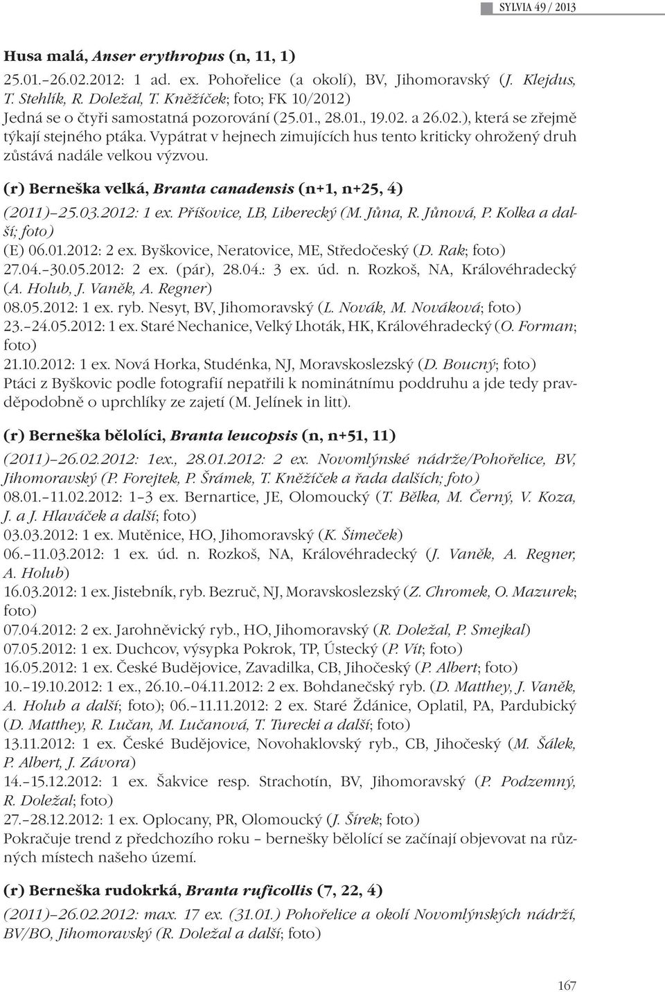 Vypátrat v hejnech zimujících hus tento kriticky ohrožený druh zůstává nadále velkou výzvou. (r) Berneška velká, Branta canadensis (n+1, n+25, 4) (2011) 25.03.2012: 1 ex. Příšovice, LB, Liberecký (M.