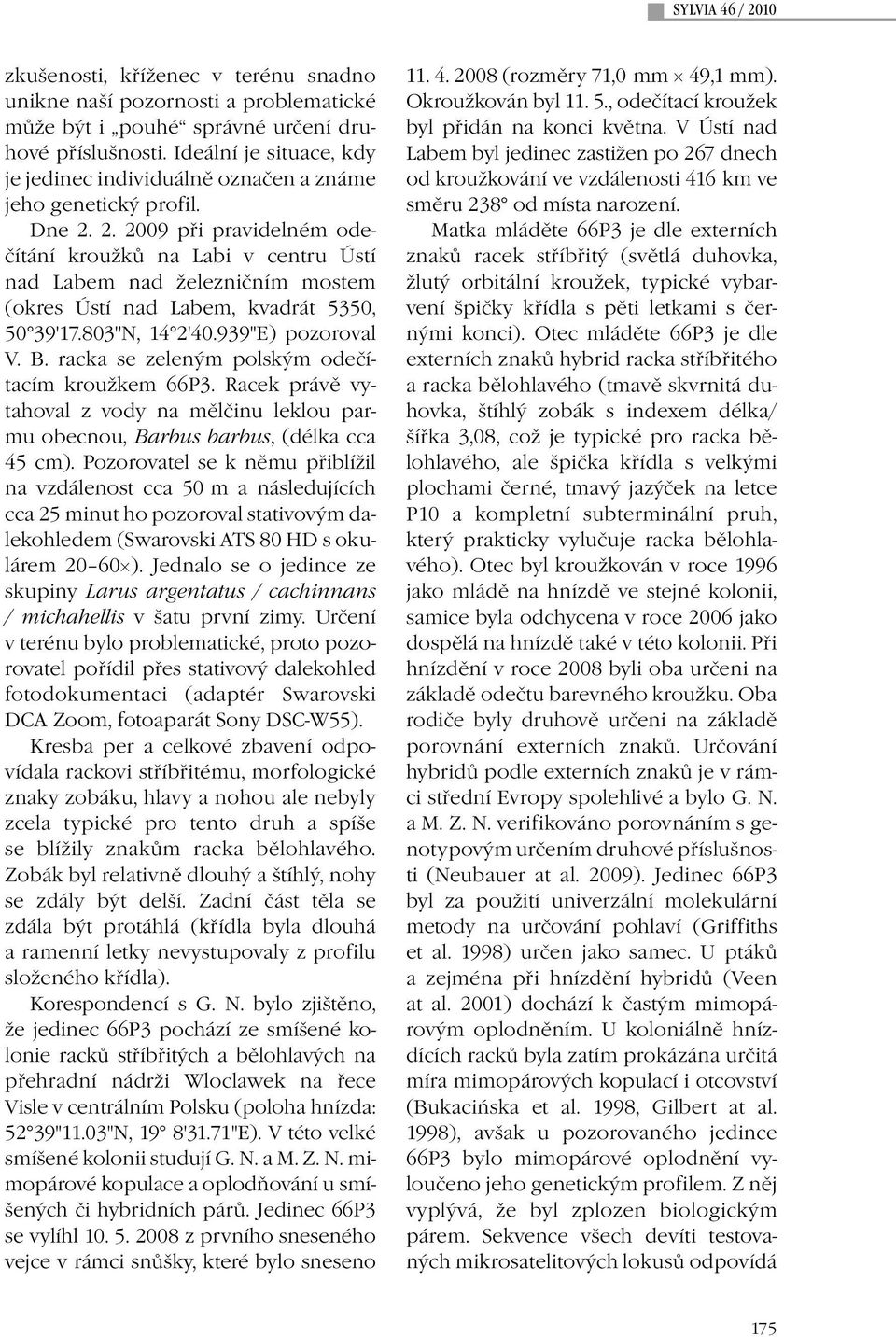 2. 2009 při pravidelném odečítání kroužků na Labi v centru Ústí nad Labem nad železničním mostem (okres Ústí nad Labem, kvadrát 5350, 50 39'17.803''N, 14 2'40.939''E) pozoroval V. B.