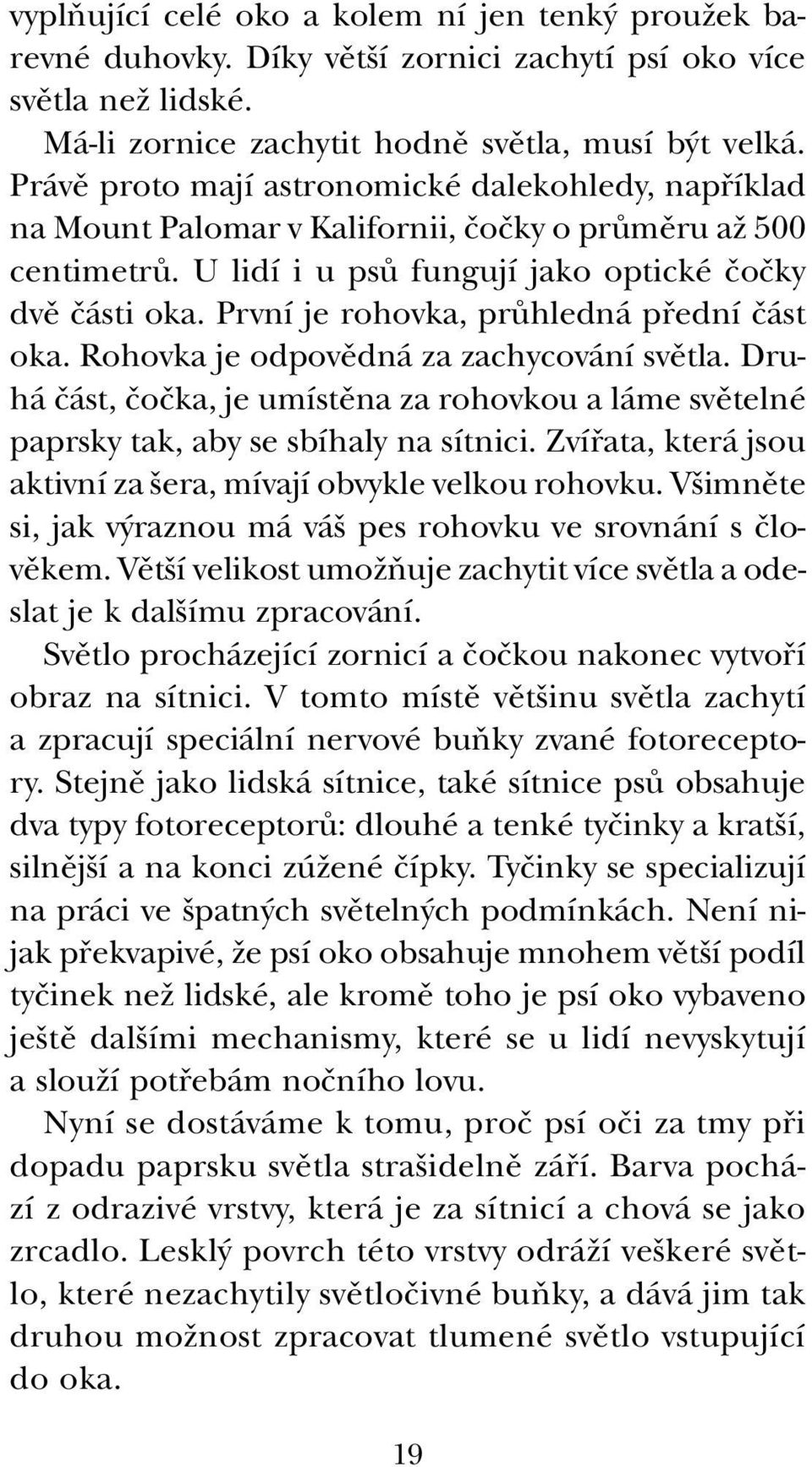 První je rohovka, prûhledná pfiední ãást oka. Rohovka je odpovûdná za zachycování svûtla. Druhá ãást, ãoãka, je umístûna za rohovkou a láme svûtelné paprsky tak, aby se sbíhaly na sítnici.