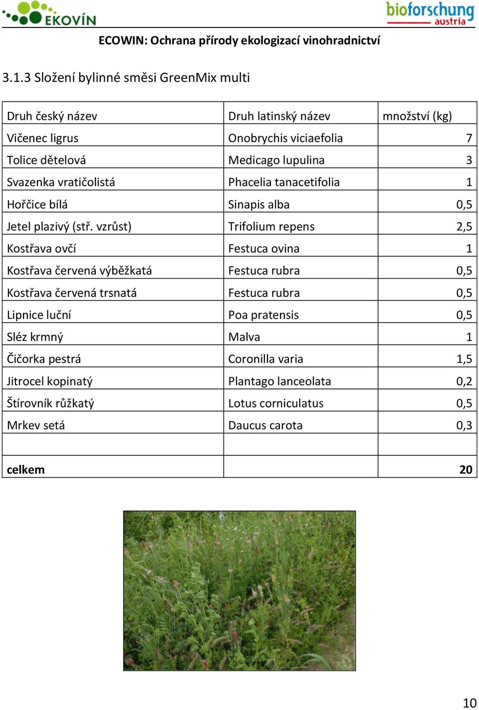 vzrůst) Trifolium repens 2,5 Kostřava ovčí Festuca ovina 1 Kostřava červená výběžkatá Festuca rubra 0,5 Kostřava červená trsnatá Festuca rubra 0,5 Lipnice