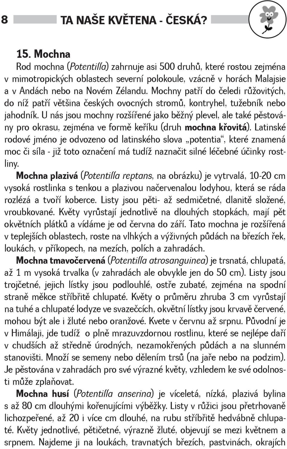 Mochny patøí do čeledi rùovitých, do ní patøí vìtina českých ovocných stromù, kontryhel, tuebník nebo jahodník.