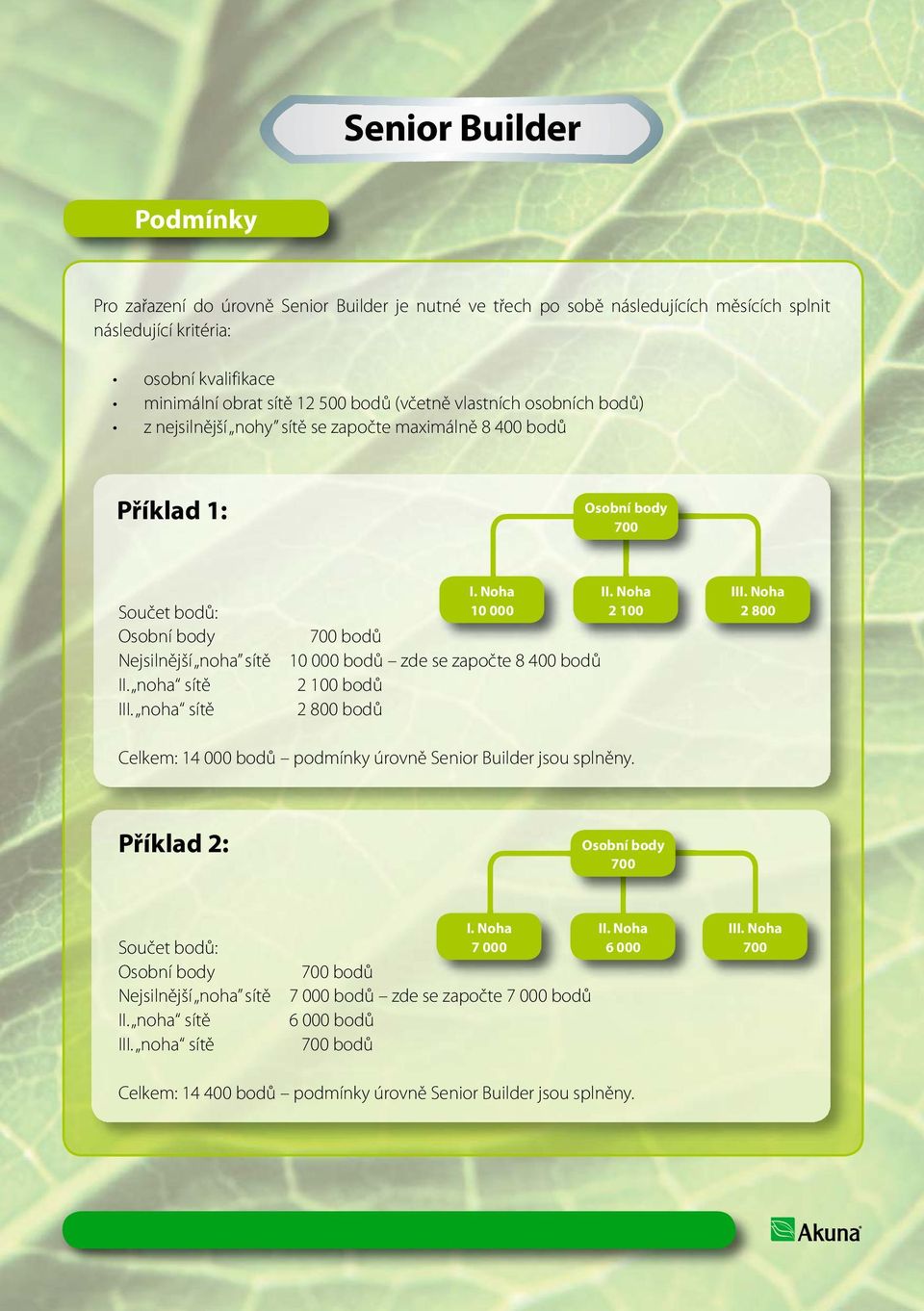 000 bodů 10 000 bodů zde se započte 8 400 bodů 2 100 bodů 2 800 bodů I 2 100 II 2 800 Celkem: 14 000 bodů podmínky úrovně Senior Builder jsou splněny.