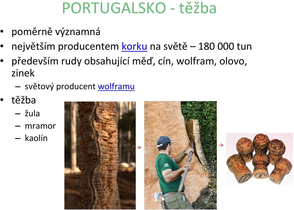 rudy obsahující měď, cín, wolfram, olovo, zinek