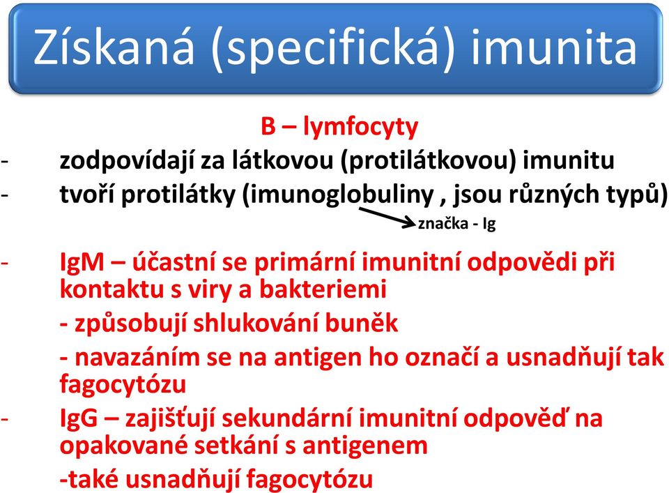 kontaktu s viry a bakteriemi - způsobují shlukování buněk - navazáním se na antigen ho označí a usnadňují