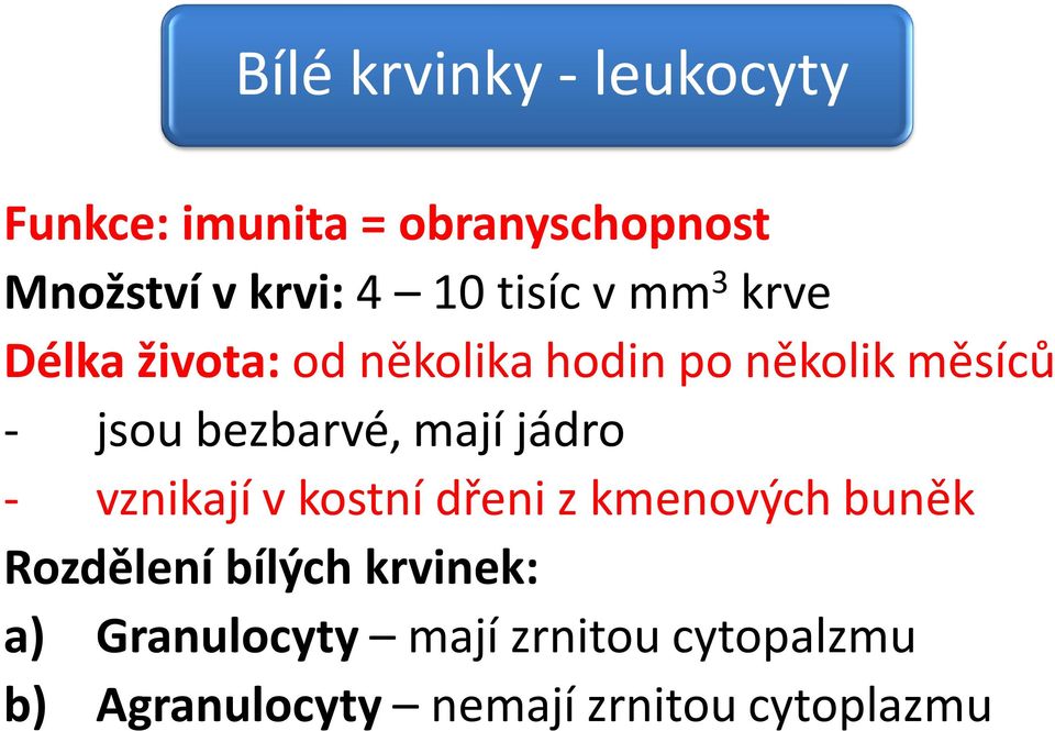 bezbarvé, mají jádro - vznikají v kostní dřeni z kmenových buněk Rozdělení bílých