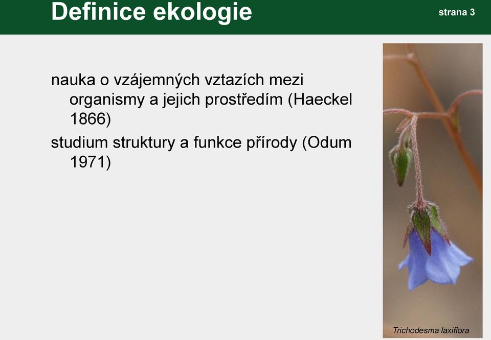 prostředím (Haeckel 1866) studium struktury