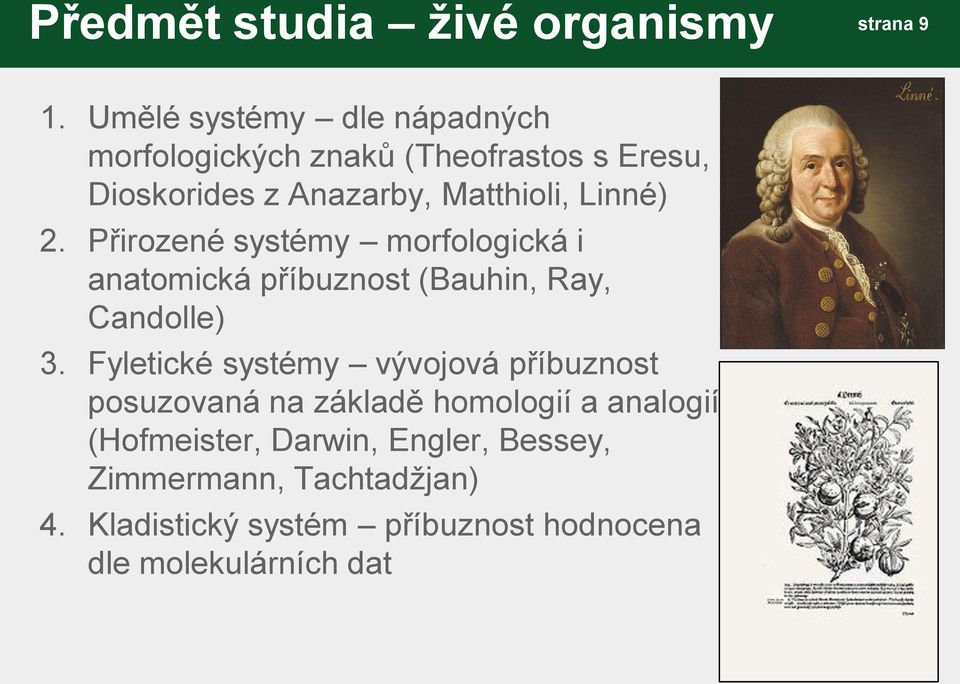 Linné) 2. Přirozené systémy morfologická i anatomická příbuznost (Bauhin, Ray, Candolle) 3.