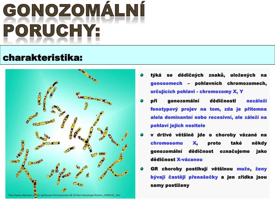 jde o choroby vázané na chromosomu X, proto také někdy gonozomální dědičnost označujeme jako dědičnost X-vázanou GR choroby postihují většinou muže,