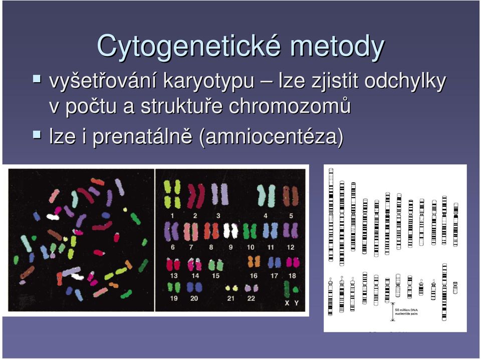 odchylky v počtu a struktuře e