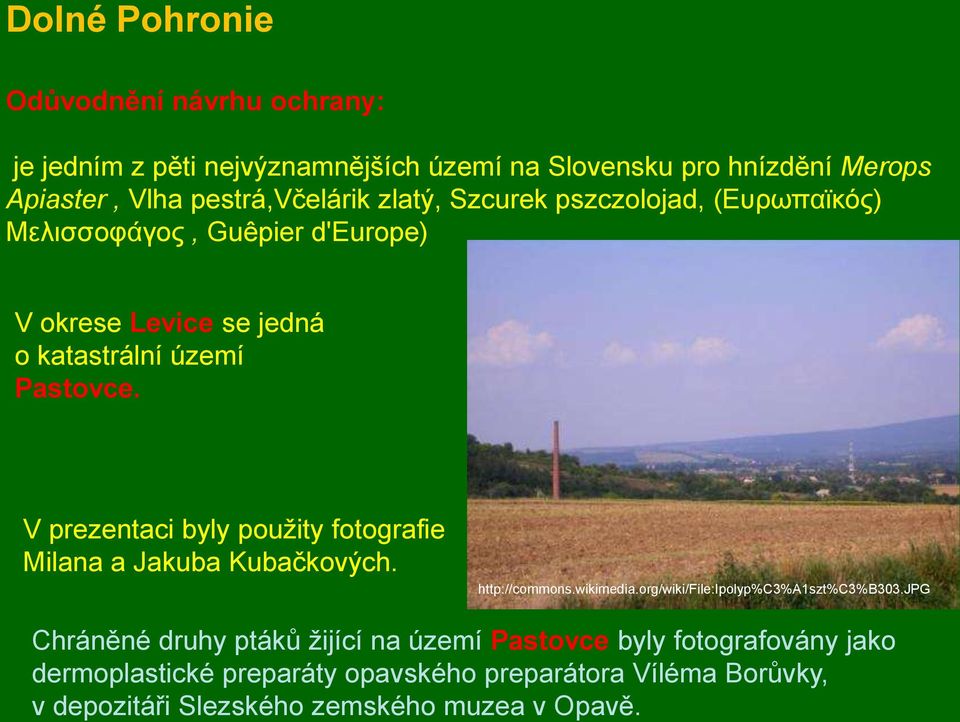 V prezentaci byly pouţity fotografie Milana a Jakuba Kubačkových. http://commons.wikimedia.org/wiki/file:ipolyp%c3%a1szt%c3%b303.