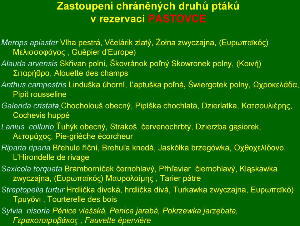 obecný, Pipíška chochlatá, Dzierlatka, ΚƀƄƃοσιηέρες, Cochevis huppé Lanius collurio Ťuhýk obecný, Strakoš červenochrbtý, Dzierzba gąsiorek, ΑƂƄοκάτος, Pie-grièche écorcheur Riparia riparia Břehule