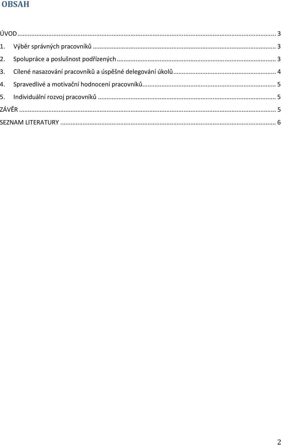 Cílené nasazování pracovníků a úspěšné delegování úkolů... 4 4.