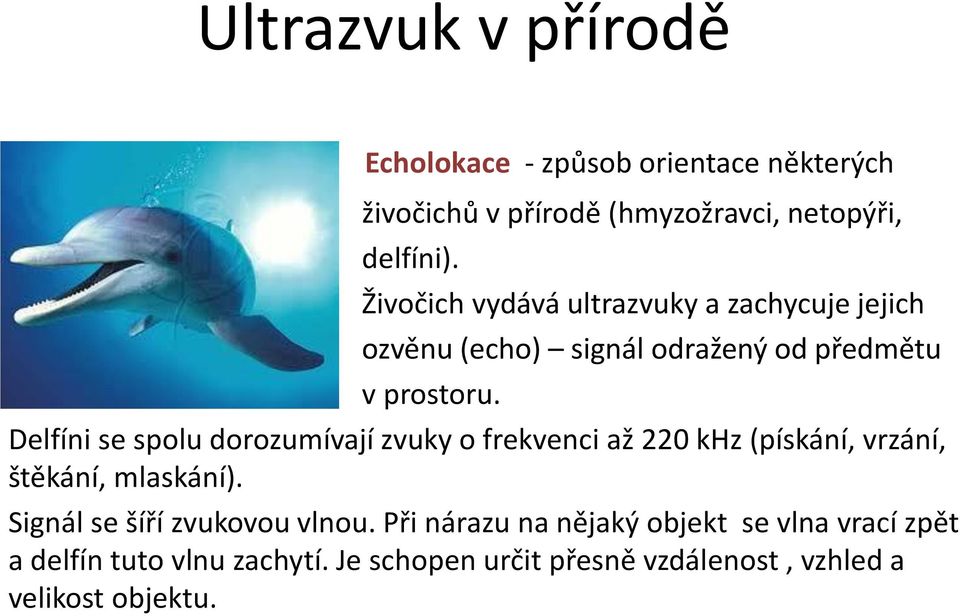 Delfíni se spolu dorozumívají zvuky o frekvenci až 220 khz (pískání, vrzání, štěkání, mlaskání).