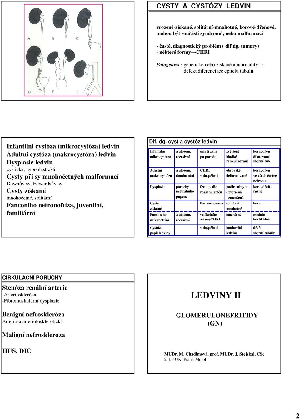 ledvin cystická, hypoplastická Cysty při sy mnohočetných malformací Downův sy, Edwardsův sy Cysty získané mnohočetné, solitární Fanconiho nefronoftíza, juvenilní, familiární Dif. dg.