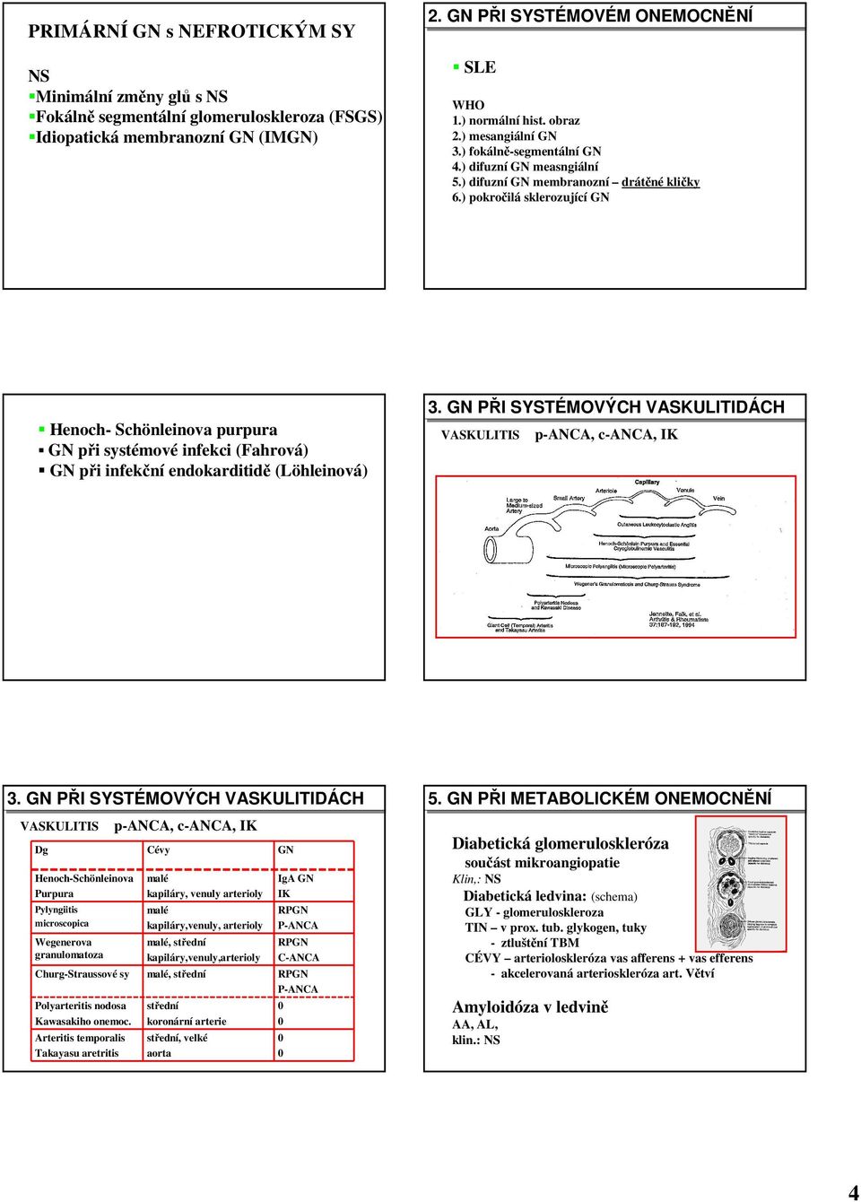 ) pokročilá sklerozující GN Henoch- Schönleinova purpura GN při systémové infekci (Fahrová) GN při infekční endokarditidě (Löhleinová) 3.