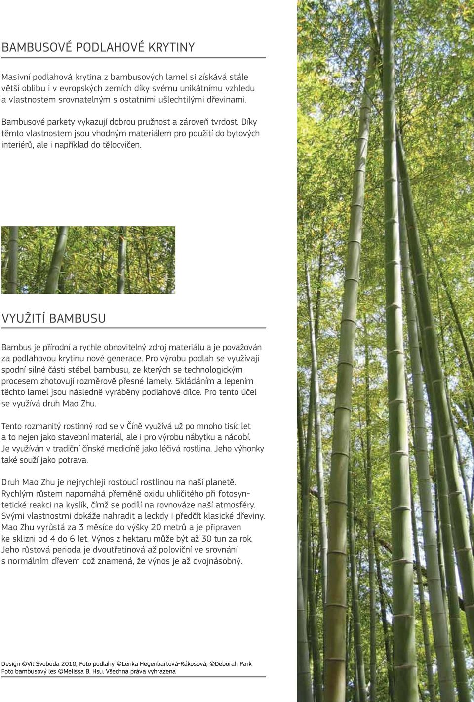 VyužiTí BaMBuSu Bambus je přírodní a rychle obnovitelný zdroj materiálu a je považován za podlahovou krytinu nové generace.