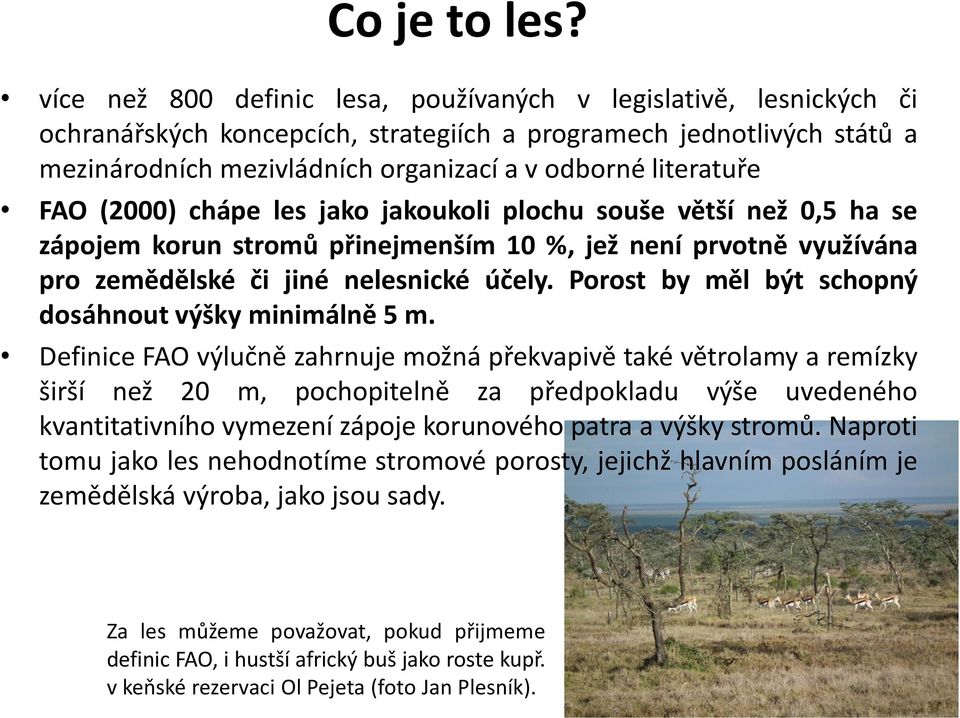 literatuře FAO (2000) chápe les jako jakoukoli plochu souše větší než 0,5 ha se zápojem korun stromů přinejmenším 10 %, jež není prvotně využívána pro zemědělské či jiné nelesnické účely.