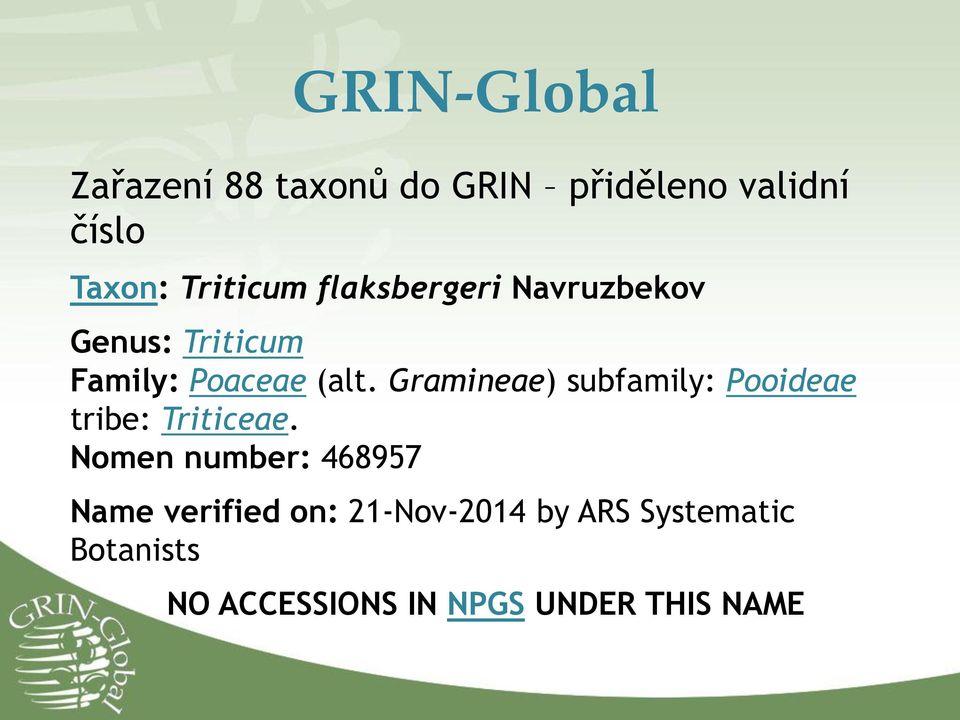 Gramineae) subfamily: Pooideae tribe: Triticeae.