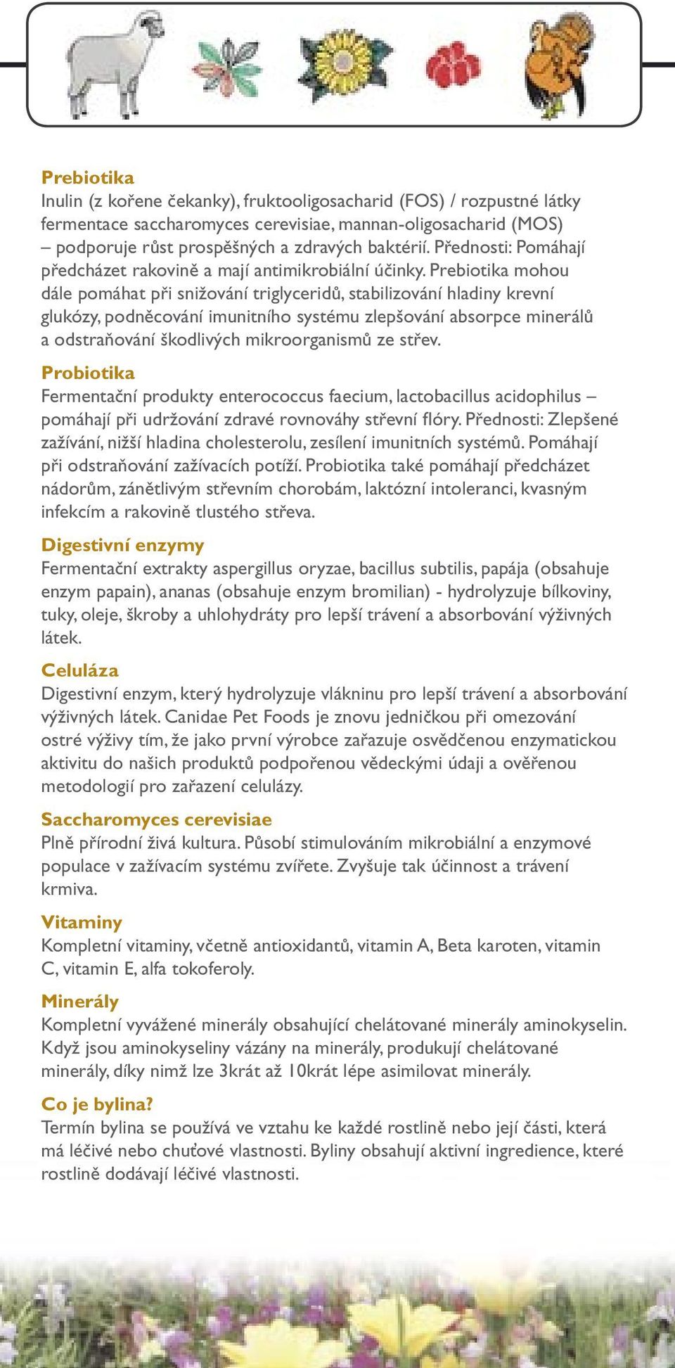 Prebiotika mohou dále pomáhat při snižování triglyceridů, stabilizování hladiny krevní glukózy, podněcování imunitního systému zlepšování absorpce minerálů a odstraňování škodlivých mikroorganismů ze