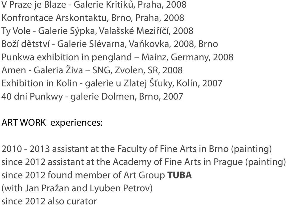 u Zlatej Šťuky, Kolín, 2007 40 dní Punkwy - galerie Dolmen, Brno, 2007 ART WORK experiences: 2010-2013 assistant at the Faculty of Fine Arts in Brno (painting)