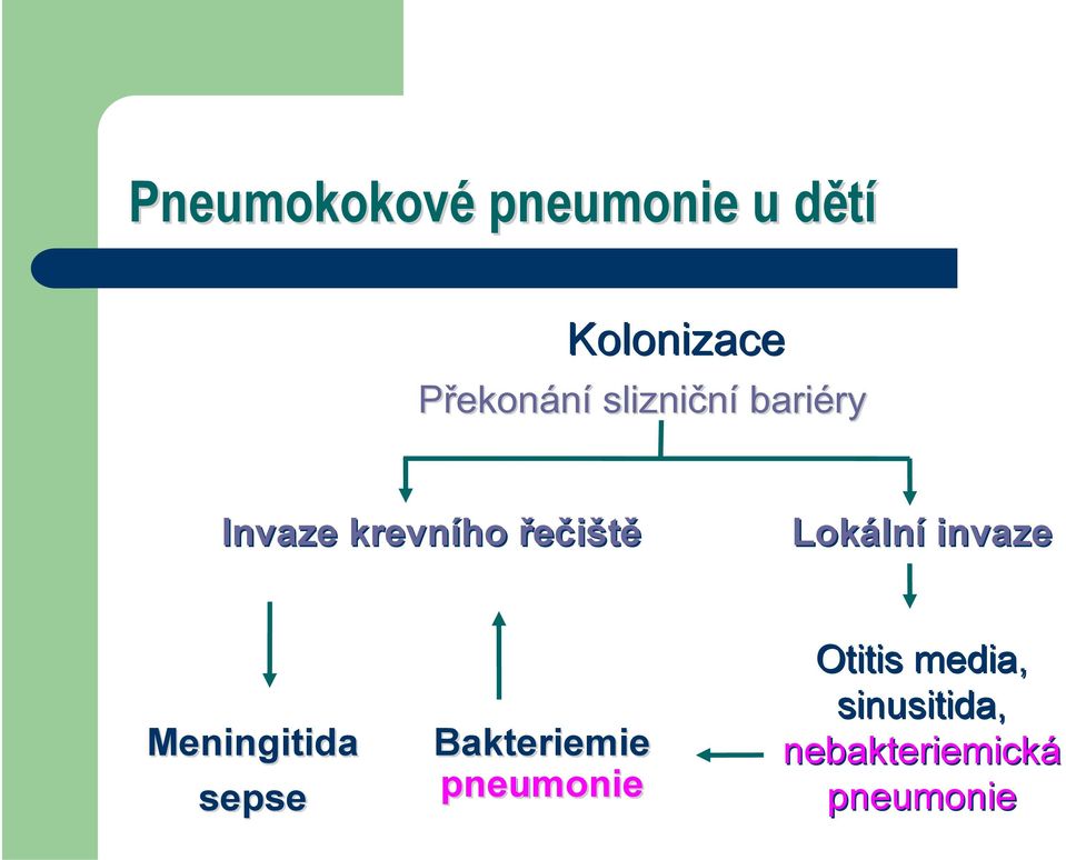 invaze Meningitida sepse Bakteriemie kteriemi