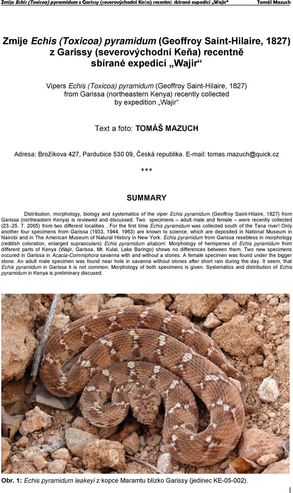 cz SUMMARY Distribution, morphology, biology and systematics of the viper Echis pyramidum (Geoffroy Saint-Hilaire, 1827) from Garissa (northeastern Kenya) is reviewed and discussed.