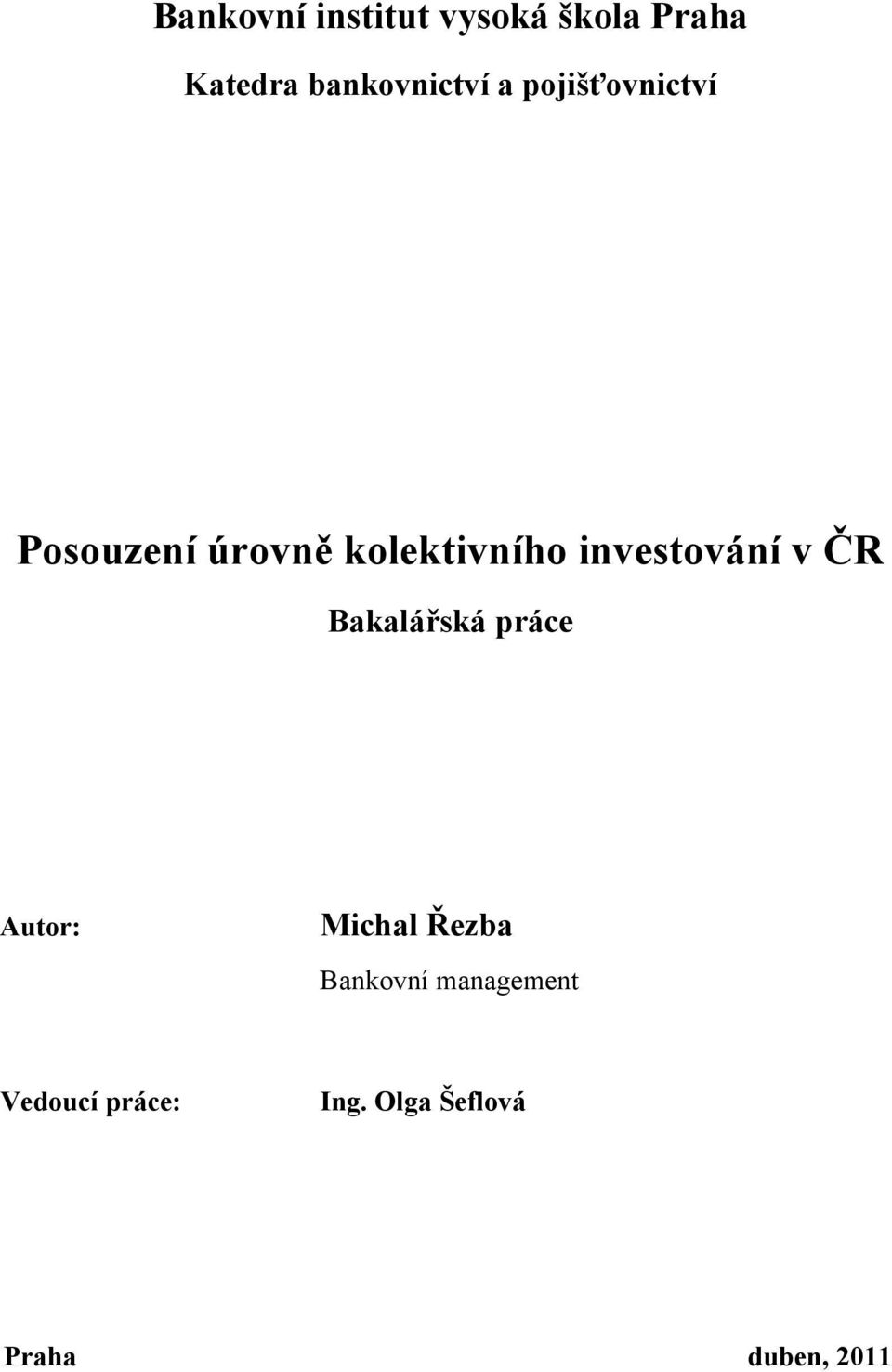 investování v ČR Bakalářská práce Autor: Michal Řezba