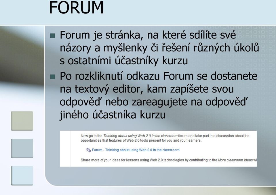 rozkliknutí odkazu Forum se dostanete na textový editor, kam