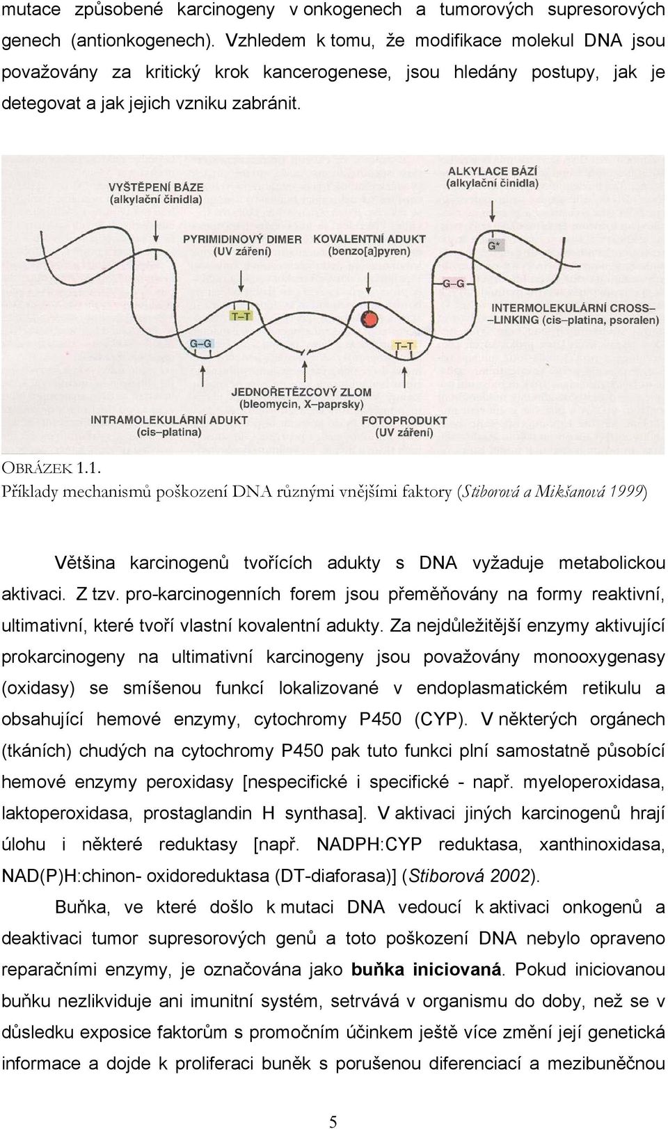 1. Příklady mechanismů poškození DNA různými vnějšími faktory (Stiborová a Mikšanová 1999) Většina karcinogenů tvořících adukty s DNA vyžaduje metabolickou aktivaci. Z tzv.