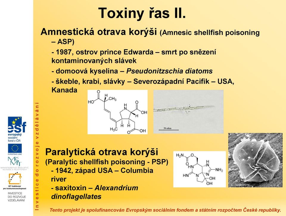 po snězení kontaminovaných slávek - domoová kyselina Pseudonitzschia diatoms - škeble, krabi,