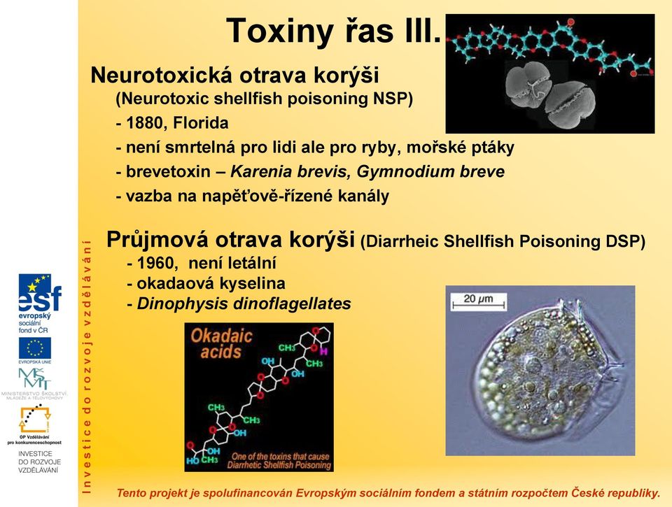 - není smrtelná pro lidi ale pro ryby, mořské ptáky - brevetoxin Karenia brevis,