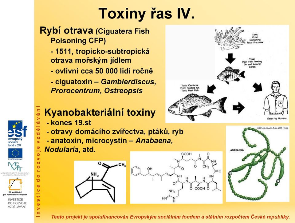 mořským jídlem - ovlivní cca 50 000 lidí ročně - ciguatoxin Gambierdiscus,